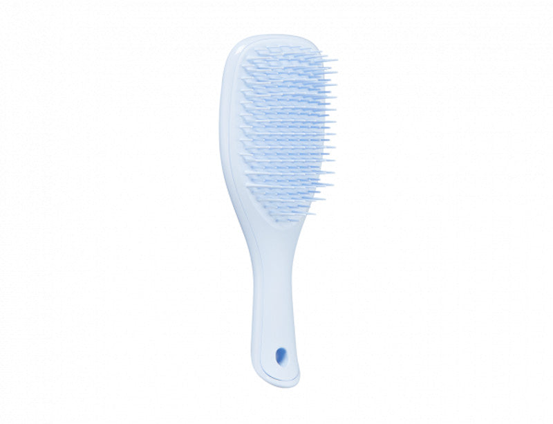 Tangle Teezer Ultimate Detangler Mini Hairbrush - Compact Detangling Brush for Wet & Dry Hair - Perfect for Travel, Gym, and On-the-Go Styling