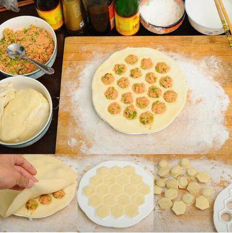 Dumpling Maker - Easy-to-Use Dumpling Press & Wrapper Tool for Homemade Dumplings | Perfect for Asian Cuisine, Family Cooking & Meal Prep