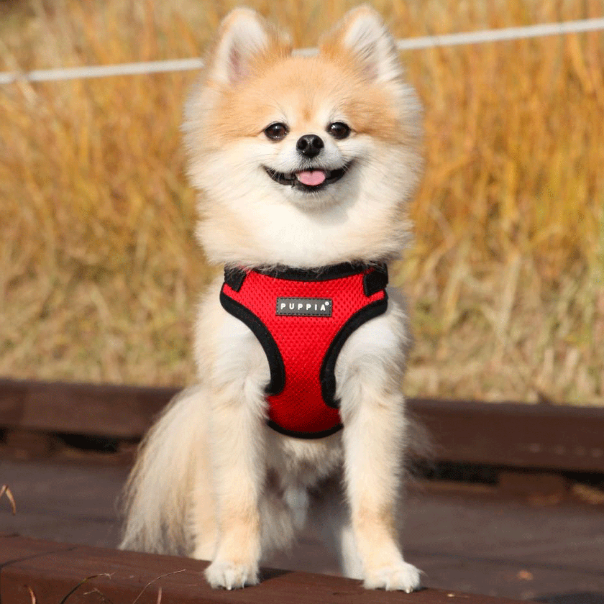 Puppia Red Soft Step-In Dog Harness - Adjustable Pet Vest for Small & Medium Dogs - Comfortable & Secure for Walking, Training & Outdoor Adventures