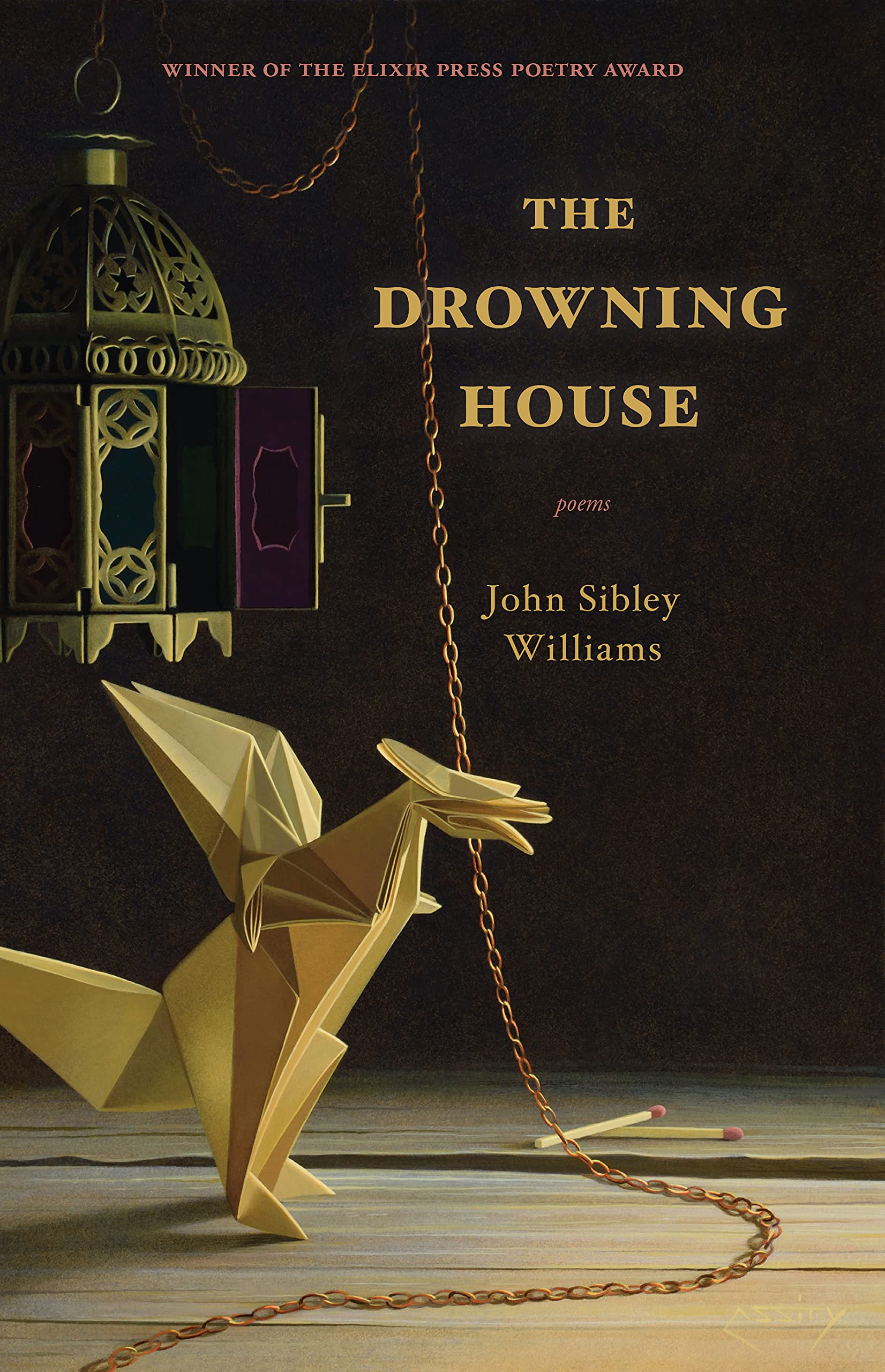 The Drowning House - Gripping Psychological Thriller Novel for Mystery & Suspense Lovers | Perfect for Book Clubs & Beach Reading
