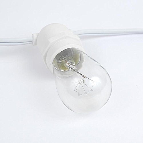 50 Socket 100ft E26 String Lights - Commercial Grade Outdoor Lighting for Backyard, Patio, Cafe & Restaurant Decor - White Wire (Bulbs Not Included) - Perfect for Weddings, Parties & Holiday Decorations