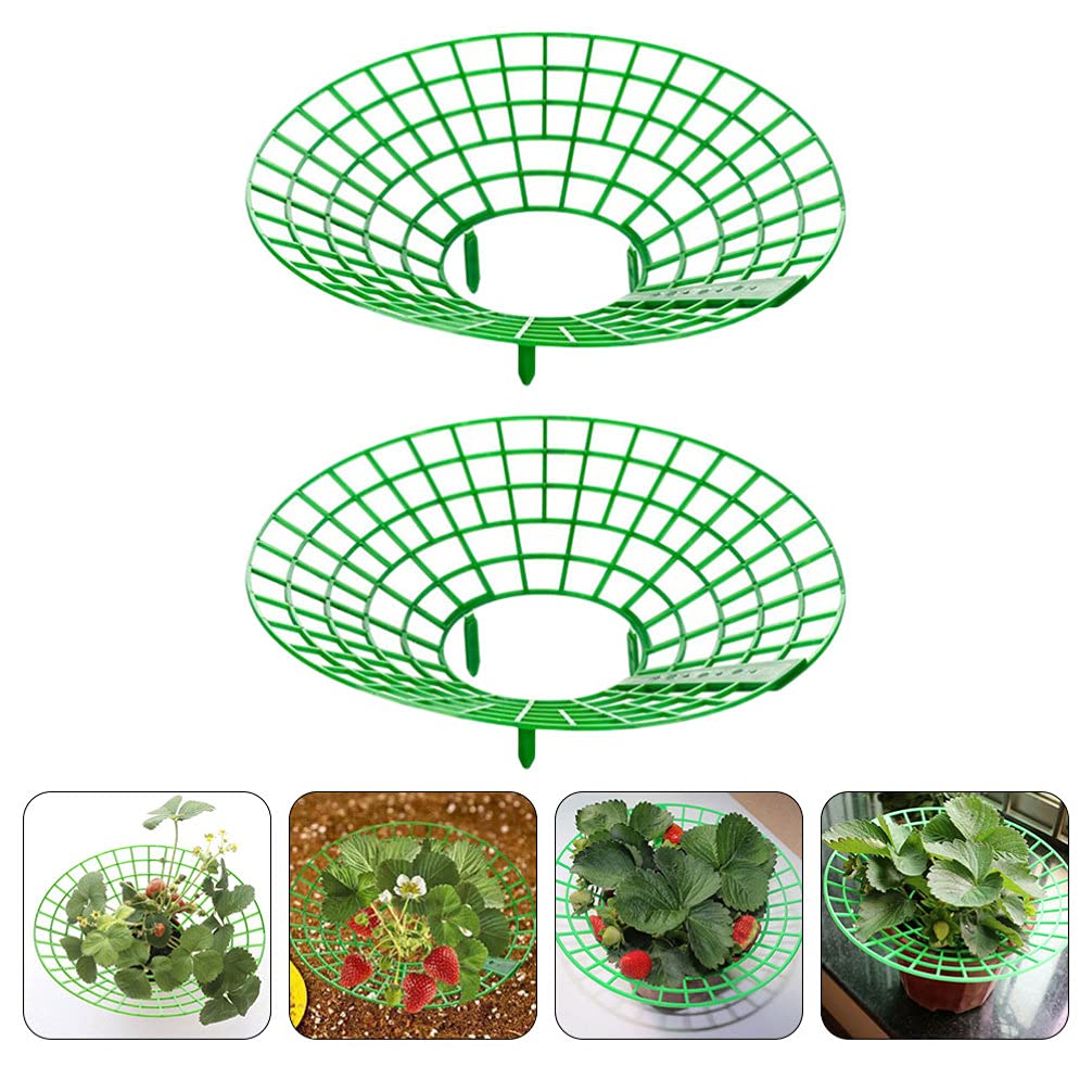 Happyyami 2-Pack Garden Strawberry Plant Supports - Sturdy Climbing Rack for Outdoor Strawberry Plants, Gardening Supplies for Vertical Growth | Perfect for Backyard Gardens, Patio Planters & Raised Beds