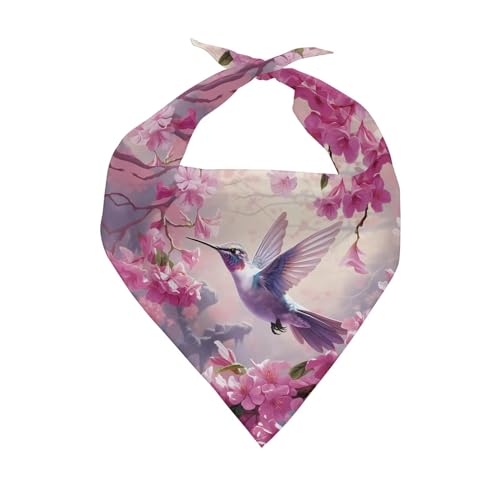 Flower Hummingbird
