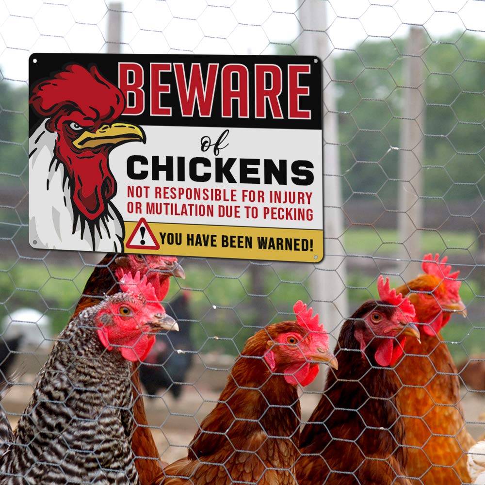 IT'S A SKIN Chicken Coop Accessories - Beware of Chickens Sign, Funny Rooster & Chicken Decor for Kitchen, Farmhouse, Garage, Fence, Yard, Craft Room | Free Bonus Decals | Perfect for Farmhouse Style, Backyard Poultry Keepers & Country Home Decor