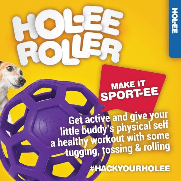 JW Pet Hol-ee Roller Durable Rubber Dog Toy - Interactive Fetch & Chew Toy for Small & Large Dogs - Perfect for Indoor & Outdoor Play