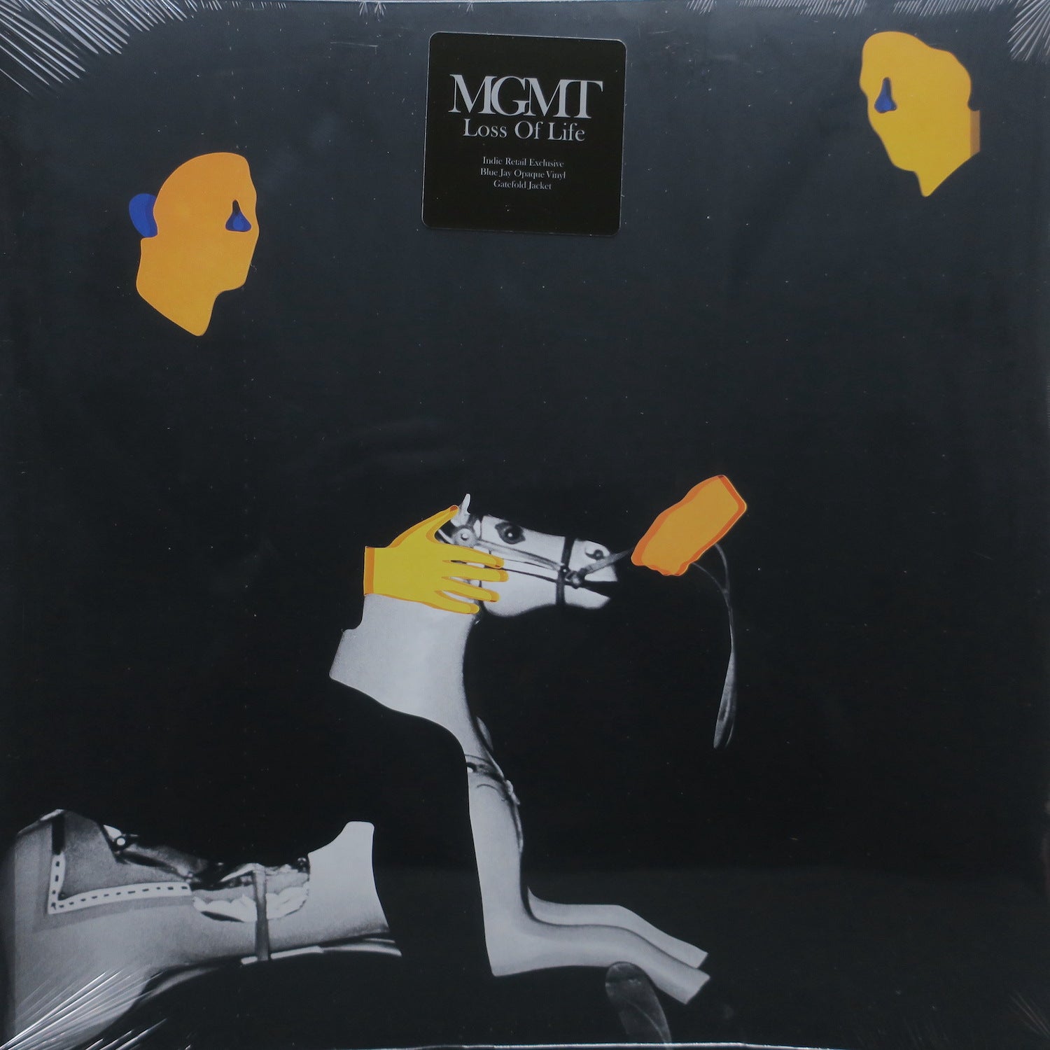 MGMT 'Loss Of Life' Limited Edition Blue Jay Colored Vinyl LP Record - Perfect for Music Collectors & Vinyl Enthusiasts, Ideal for Home Listening & Gift Giving
