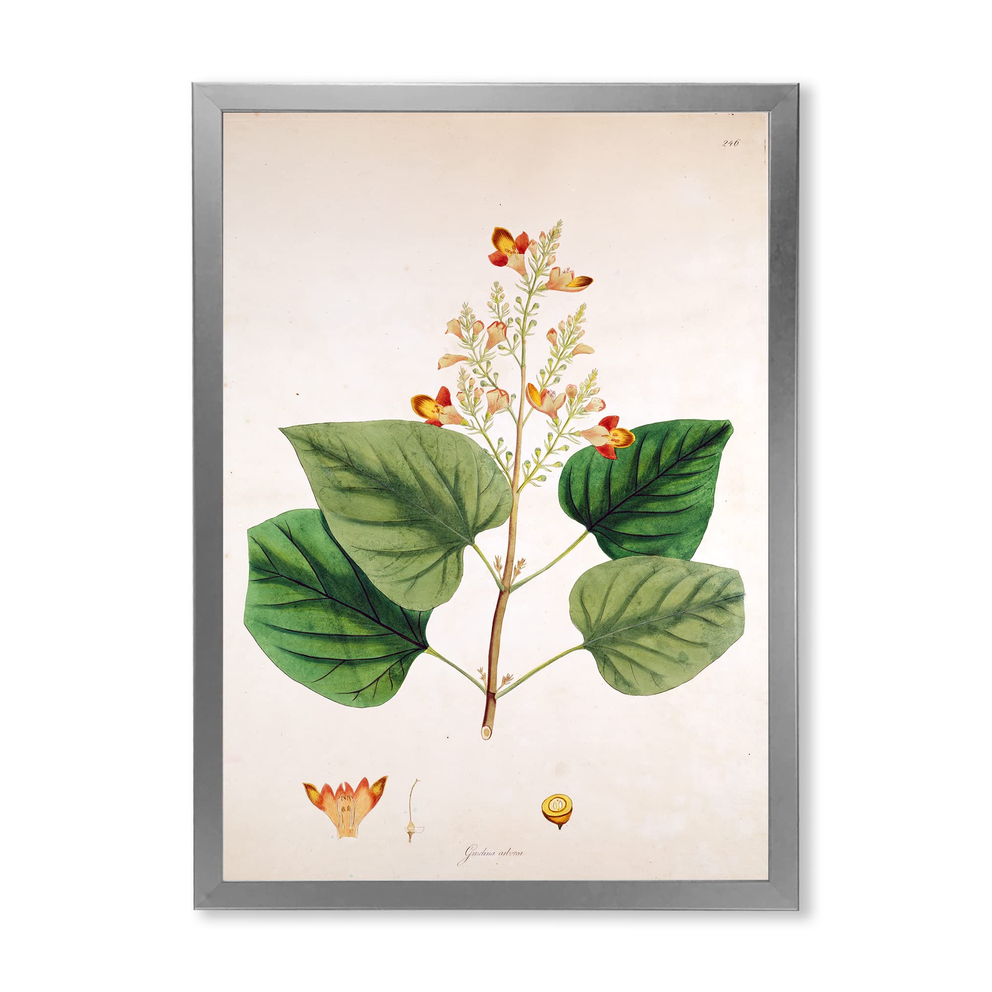 Vintage London Plants XII Framed Wall Art - Farmhouse Decor for Living Room, Bedroom & Office - Perfect Botanical Print for Home & Office Decor