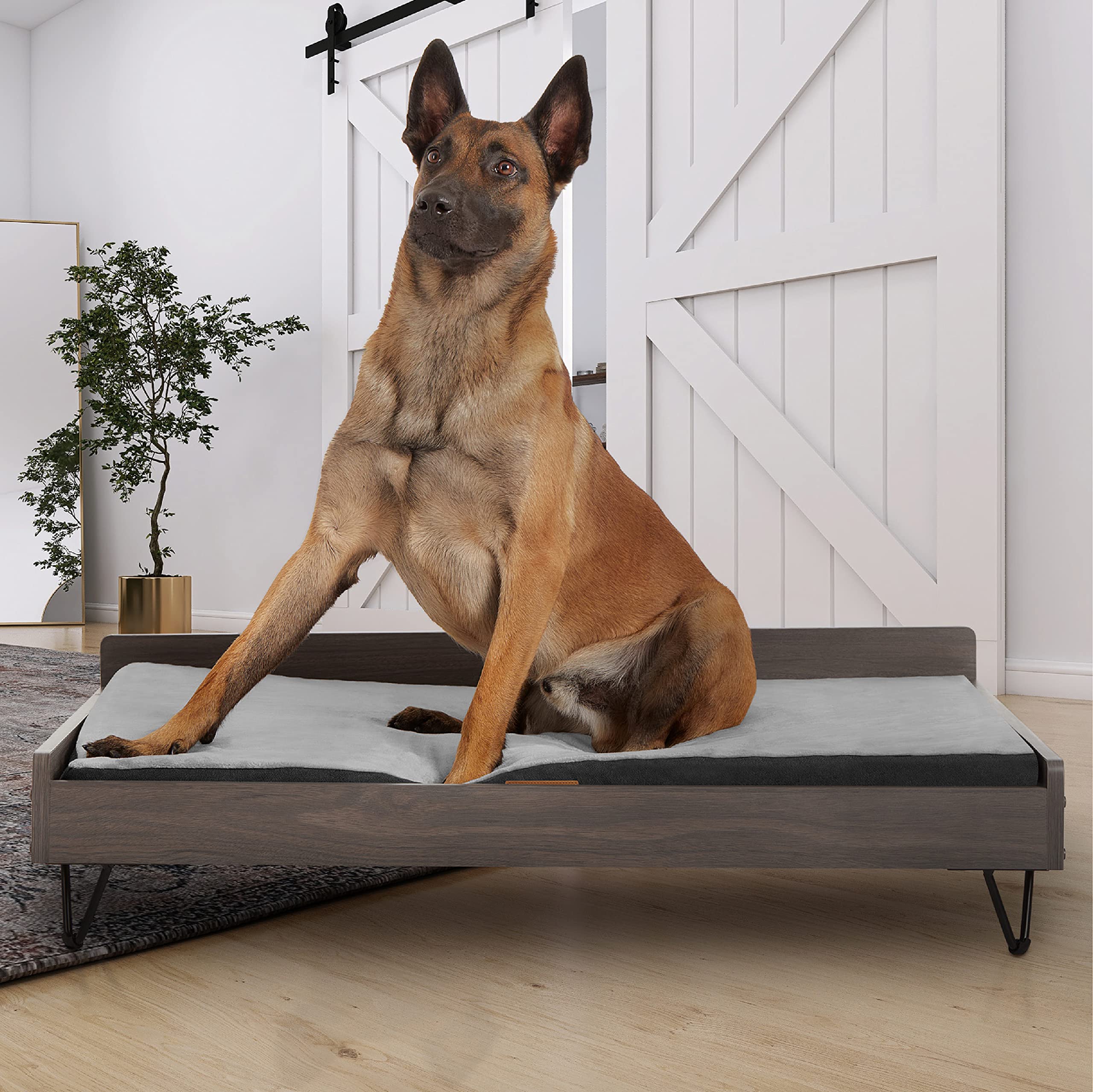 Premium Elevated Wooden Dog Bed & Couch with Water-Resistant Calming Mattress - Large to XL Size, Greenguard Gold Certified Pet Furniture for Indoor/Outdoor Use - Perfect for Living Rooms, Patios & Bedrooms