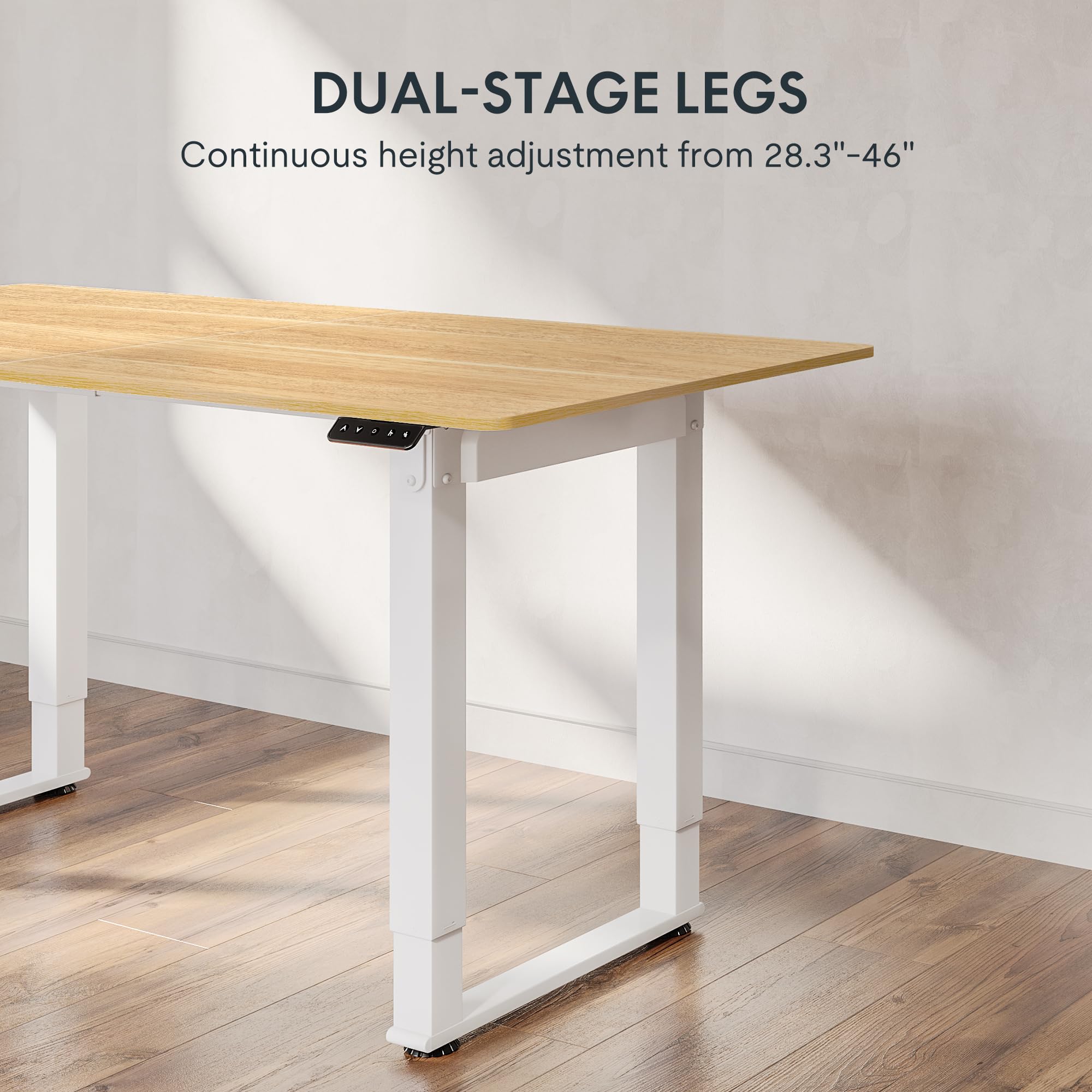 Flexispot Dual Motor Electric Standing Desk 55
