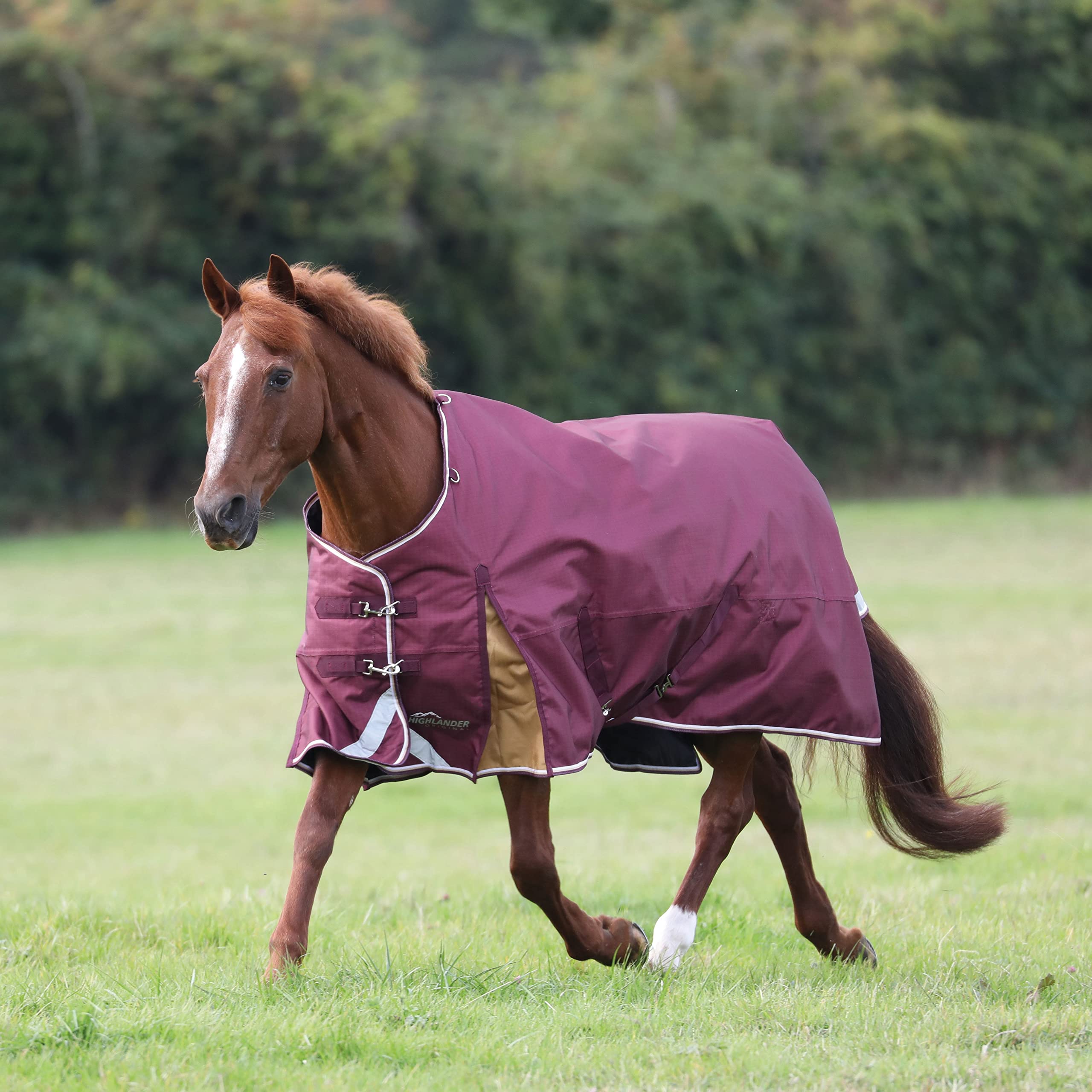 Highlander Plus 100g Standard Neck Horse Blanket - Heavyweight Winter Horse Rug for Cold Weather (78 Inches, Maroon) - Ideal for Stables, Trail Riding & Outdoor Horse Protection