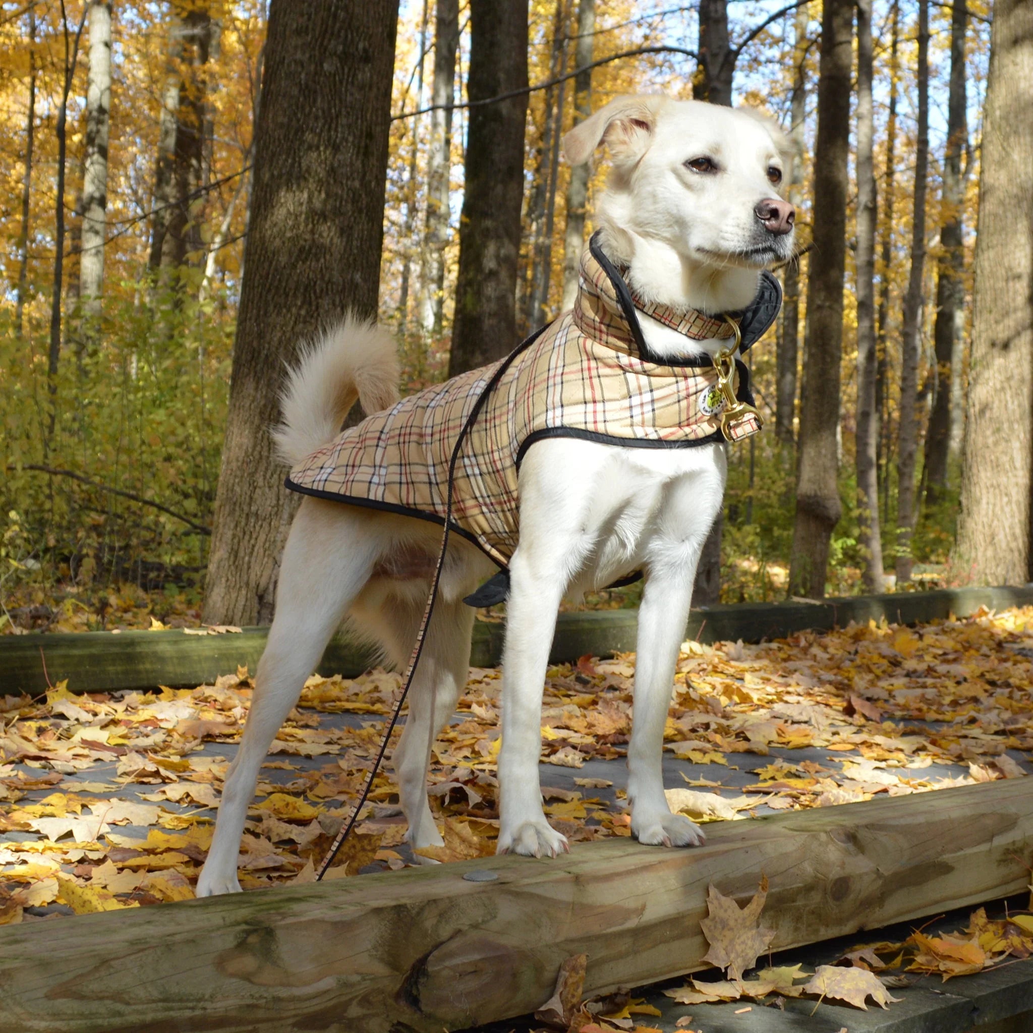 UpCountry Plaid Diamond Quilted Coat for Women - Warm Winter Jacket with Stylish Checkered Pattern | Perfect for Outdoor Adventures, Casual Wear & Cold Weather Fashion