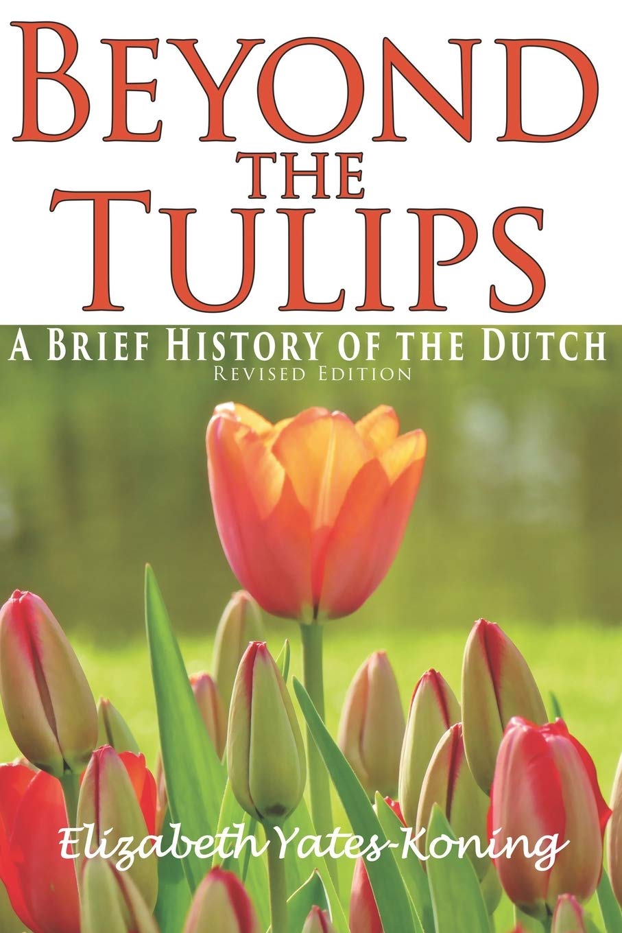 Beyond the Tulips: A Brief History of the Netherlands | Dutch Culture & Heritage Guide | Perfect for Travelers & History Enthusiasts