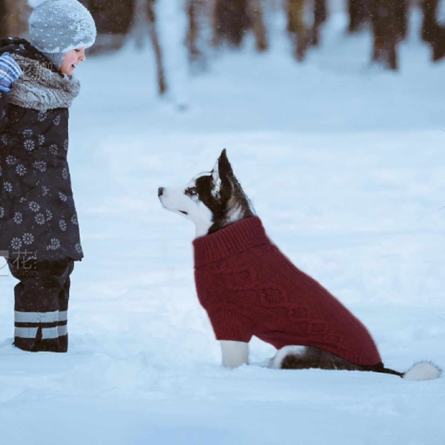 Small Dog Sweater for Fall & Winter - Cute Thanksgiving & Christmas Puppy Clothes with Harness Hole - Warm Cozy Outfits for Toy Poodles, Yorkies & Small Breeds - Perfect for Holiday Photos, Outdoor Walks & Indoor Comfort