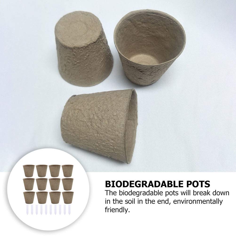 DOITOOL 110pcs Biodegradable Peat Pots for Seedlings - Disposable Nursery Pots, Plant Starter Pots, Garden Germination Kit for Vegetables, Herbs & Flowers - Perfect for Indoor/Outdoor Gardening & Transplanting