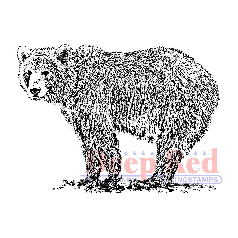 Deep Red Stamps Grizzly Bear Rubber Cling Stamp - DIY Scrapbooking, Card Making & Craft Projects - Perfect for Greeting Cards, Journals & Home Decor