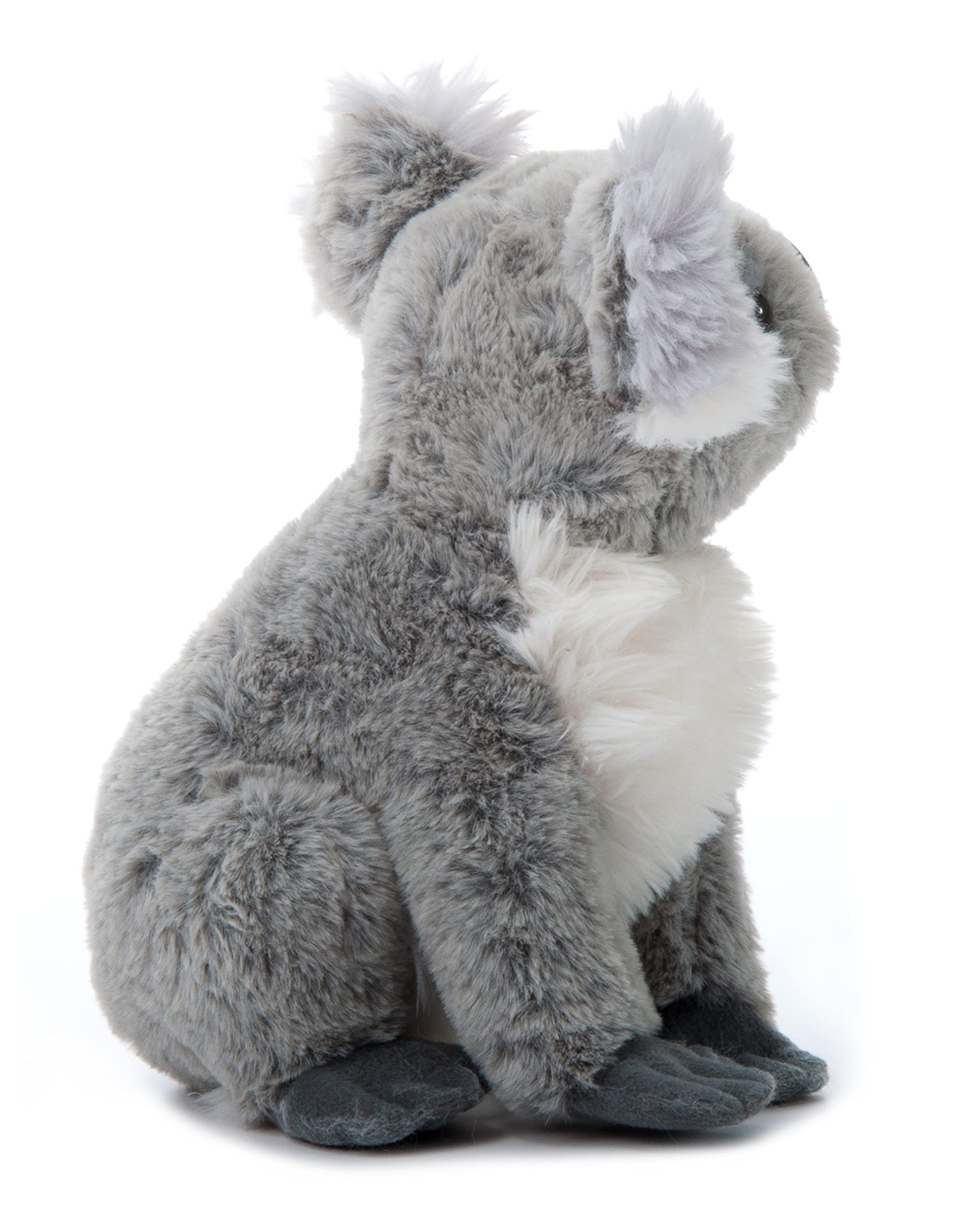 The Petting Zoo Koala Stuffed Animal - 12