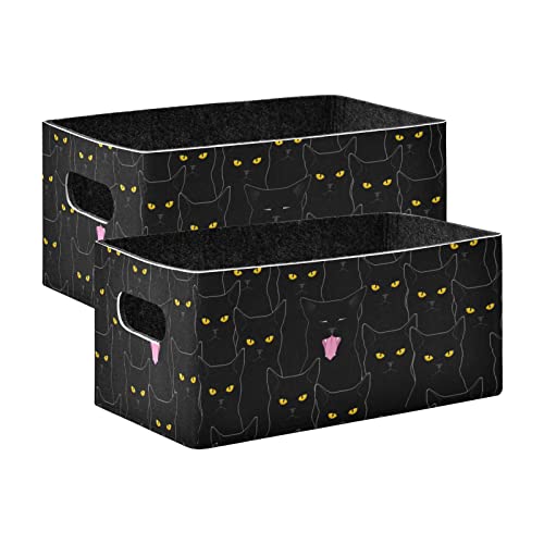 13-Cats