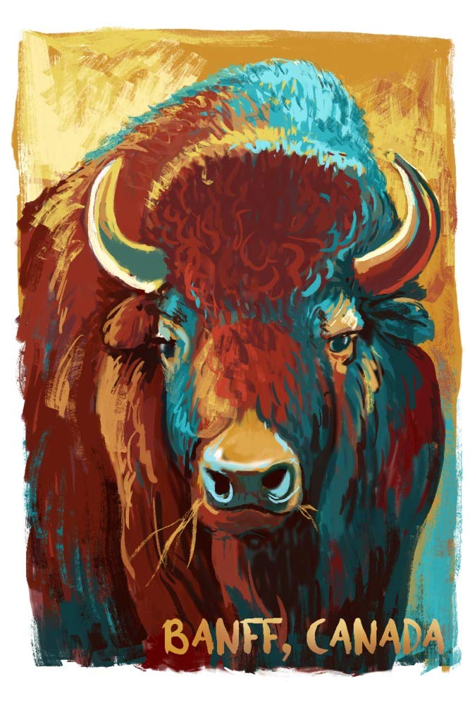 Canada Banff National Park Bison Wildlife Vivid 36x54 Giclee Gallery Print - Premium Travel Poster Wall Art Decor for Living Room, Office & Cabin