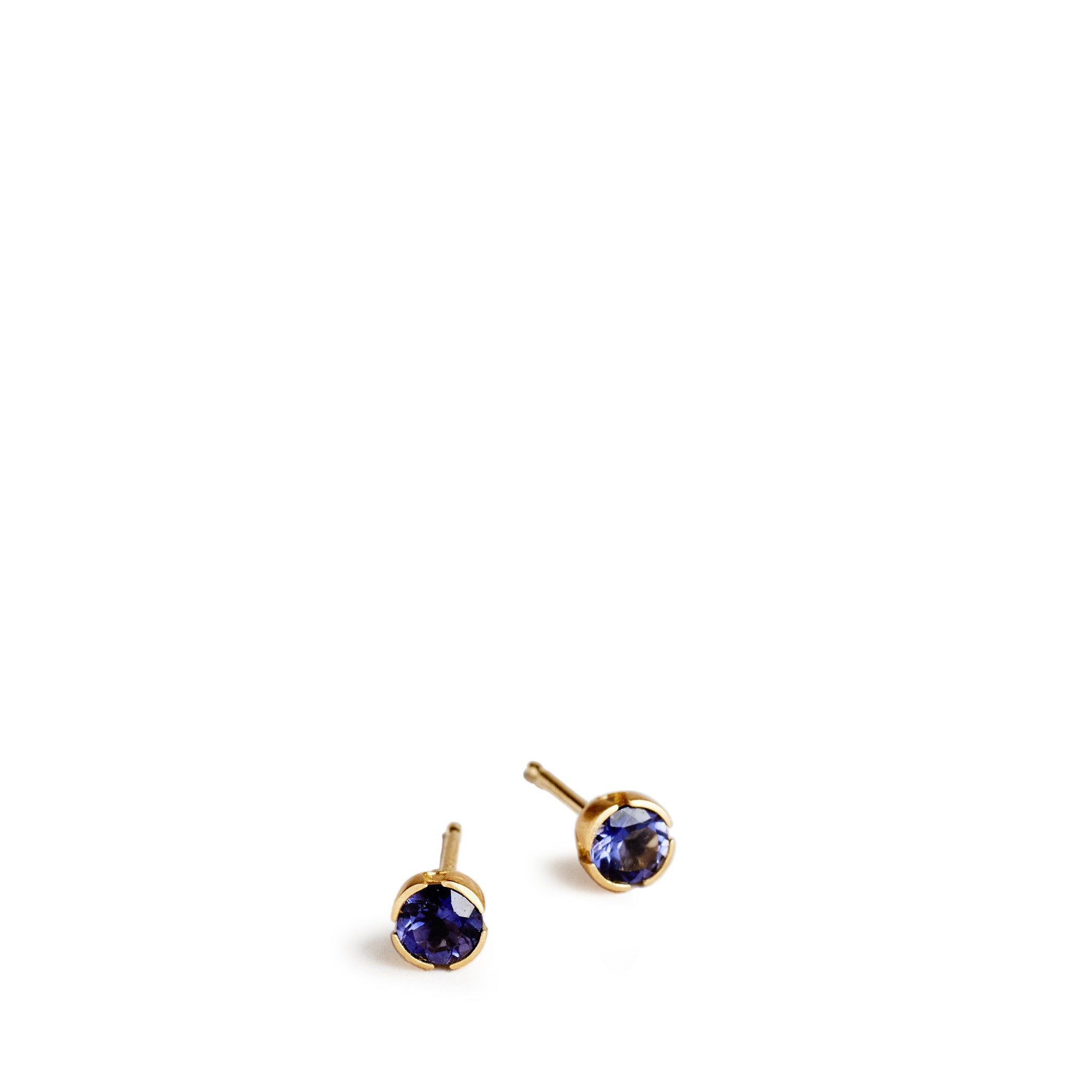 Elegant Iris Flower Post Earrings for Women - Hypoallergenic Stud Earrings for Sensitive Ears - Perfect for Weddings, Parties & Everyday Wear