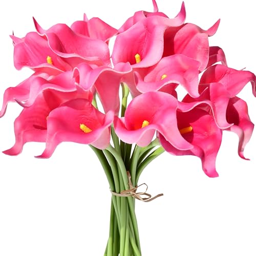 Hot Pink