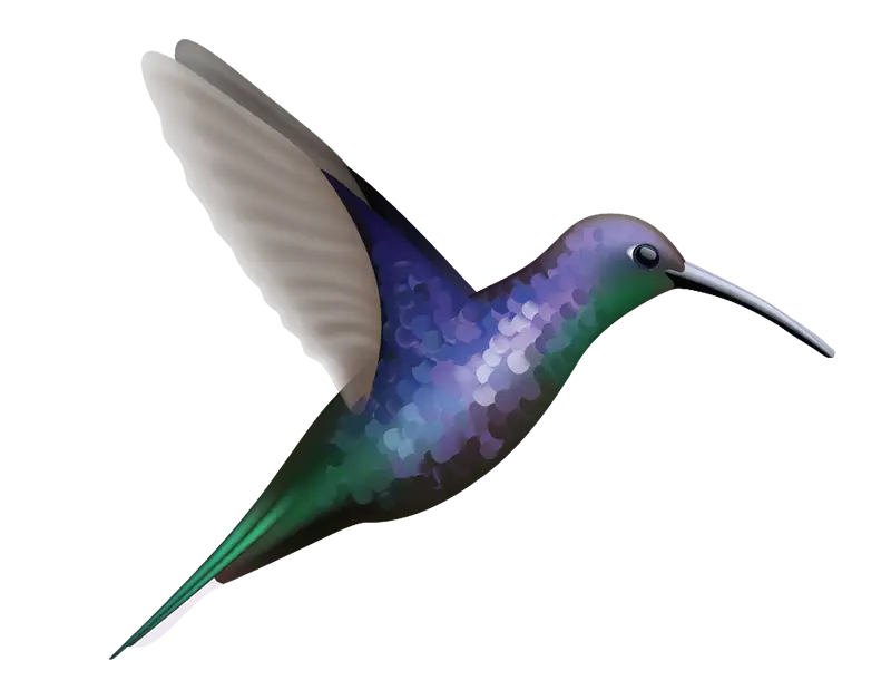 Beautiful Hummingbird Decals - Vibrant Waterproof Vinyl Stickers for Laptops, Phones, Cars & DIY Crafts - Perfect for Home Decor, Scrapbooking & Gift Giving