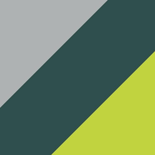 Silver/Forest/Flow Yellow