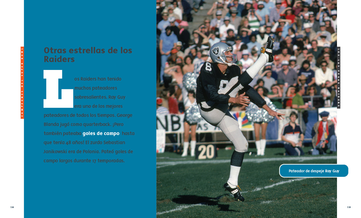 Official Las Vegas Raiders NFL Merchandise - Jerseys, Hats & Fan Gear for Football Enthusiasts | Perfect for Game Day & Tailgating