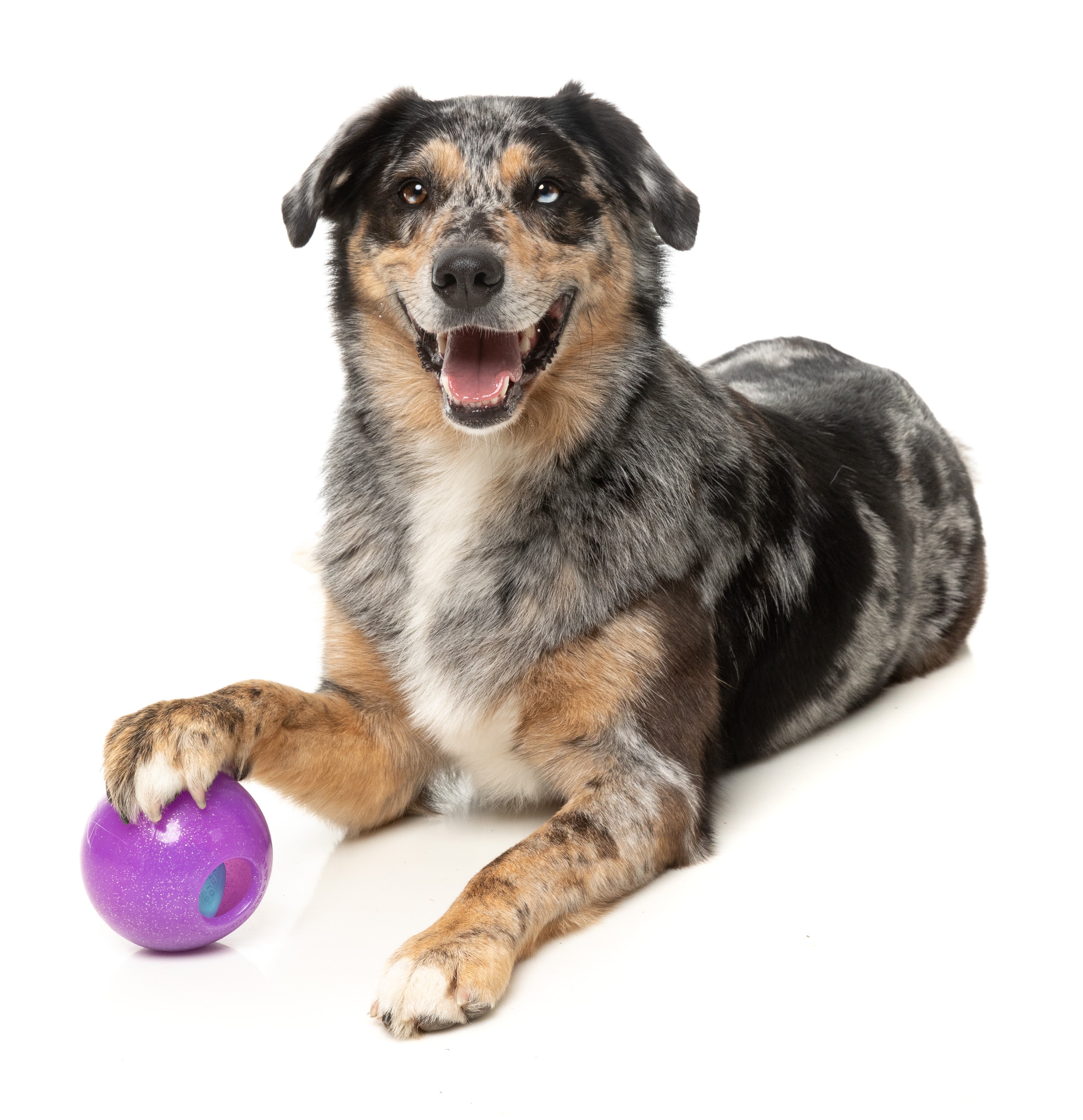 Fuzzyard Interactive Dog Chew Toy with Treat Dispenser - Truth Tellin' Treat Ball for Puppy Training & Mental Stimulation - Perfect for Boredom Relief & Playtime Fun