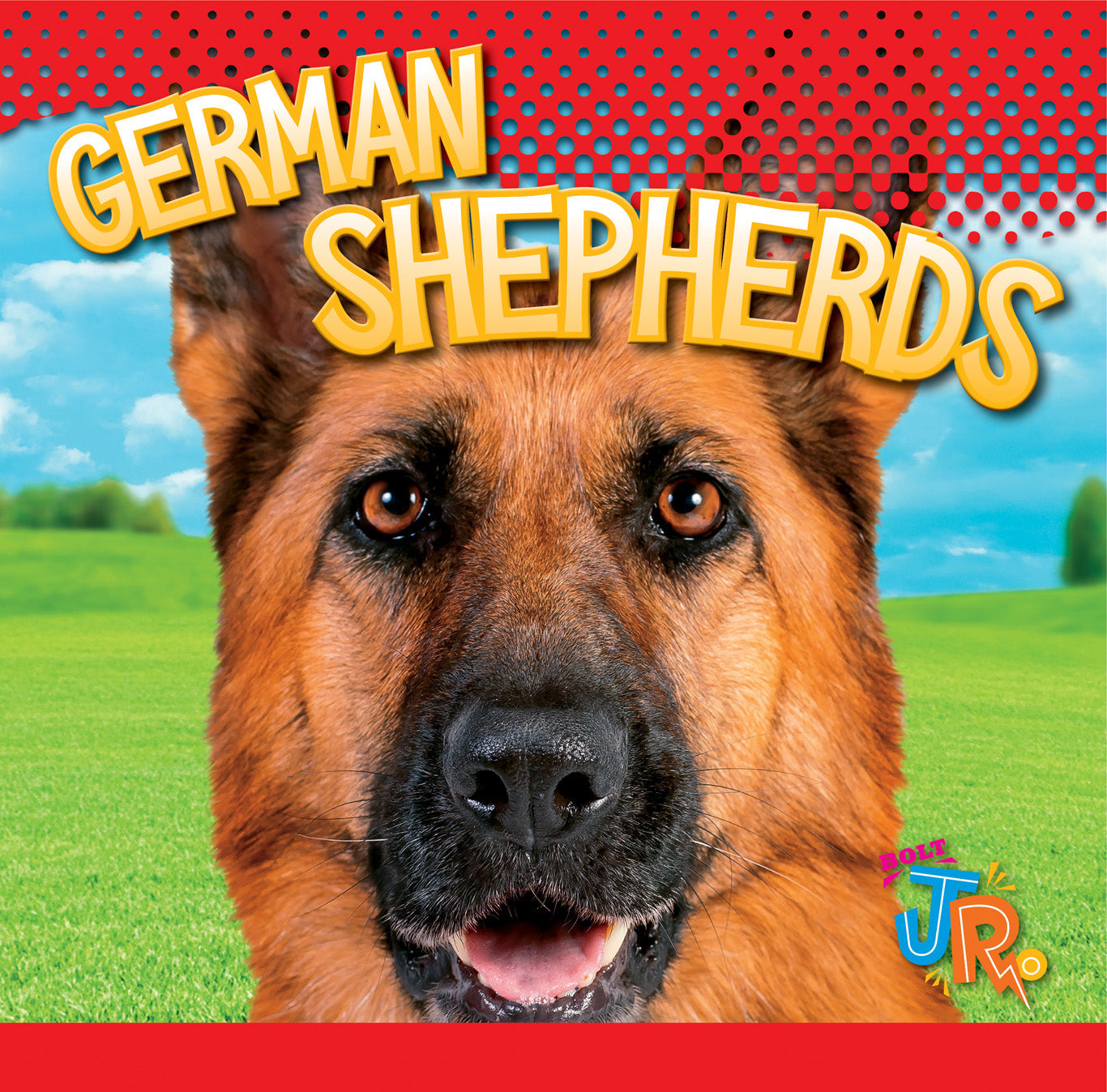 German Shepherd Dog Breed - Loyal & Intelligent Family Pet for Home Protection & Outdoor Adventures