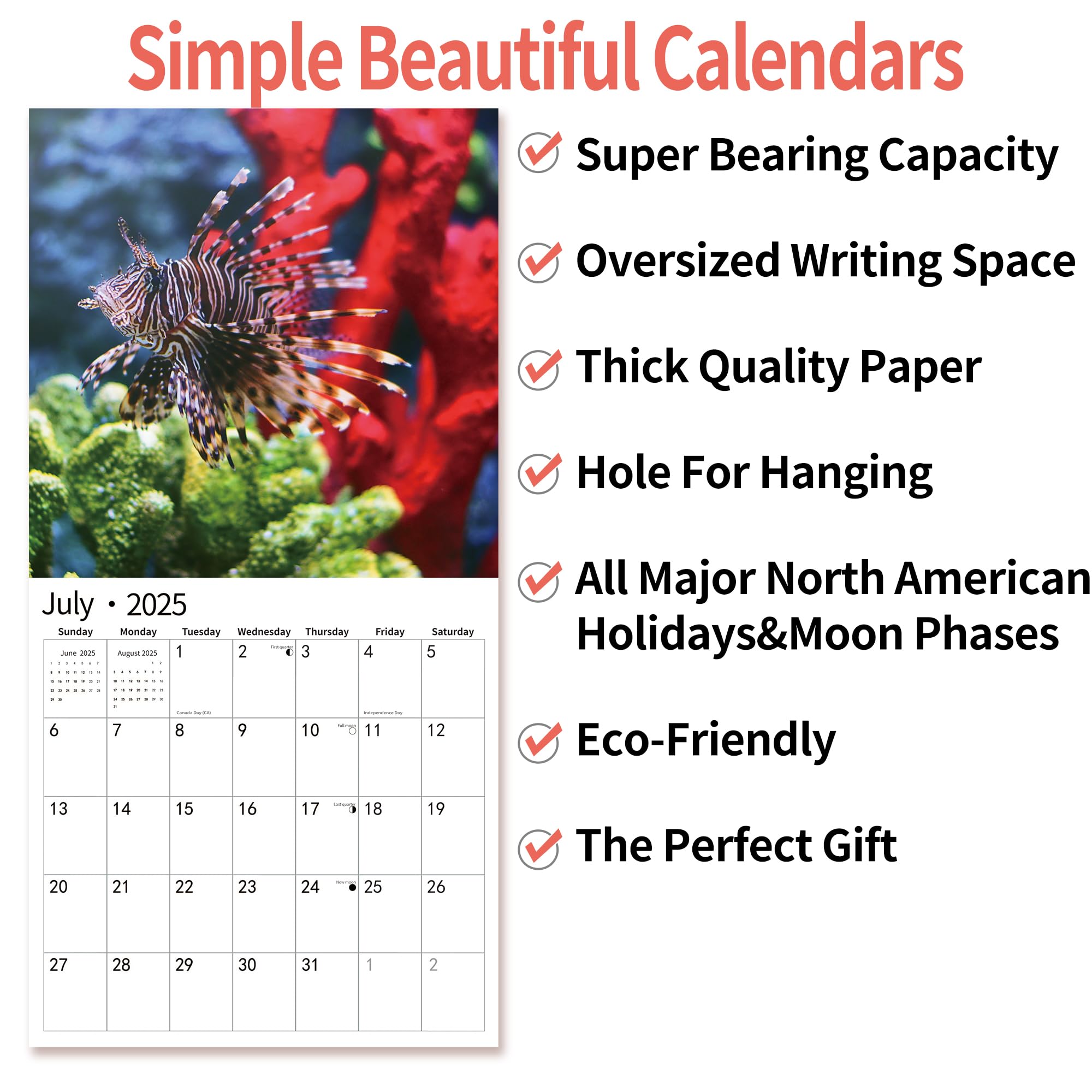 2025 Tropical Wall Calendar | November 2024 - December 2025 | 12
