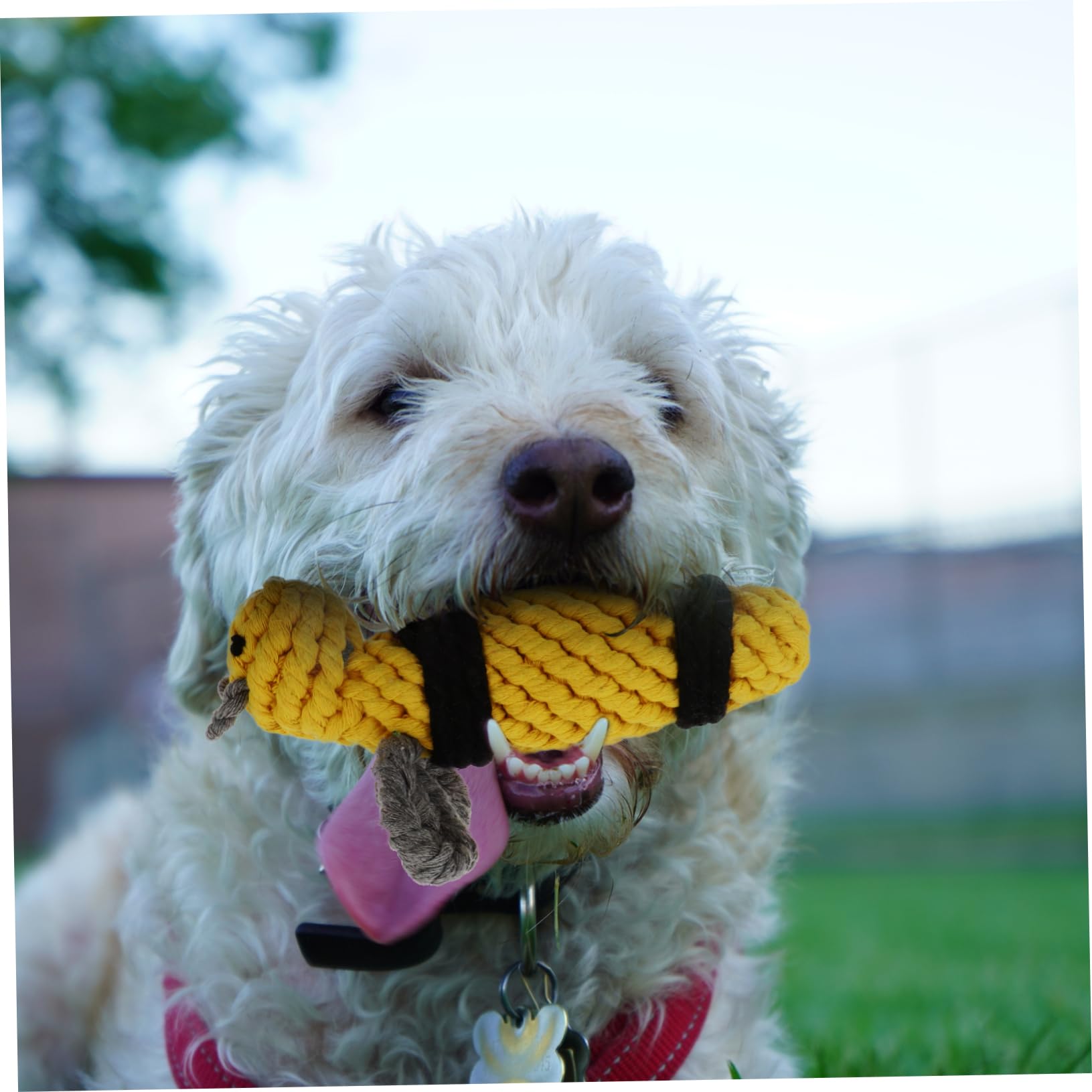 SUPVOX Bee Cotton Rope Chew Toy for Dogs - Durable Interactive Knot Toy for Puppy Training & Teeth Cleaning - Perfect for Playtime, Fetch Games, and Aggressive Chewers
