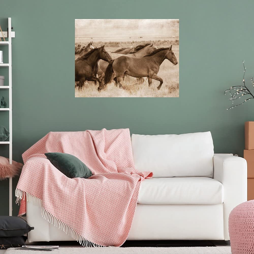 Georgianna Lane Fine Art Canvas Wall Decor - Ready to Hang 46x35 Inch - Perfect for Living Room, Bedroom, Bathroom, Kitchen, Office, Bar & Dining Room - Elegant Home & Office Wall Art for Modern Interior Design