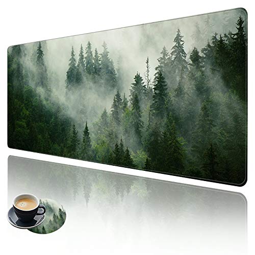 Forests