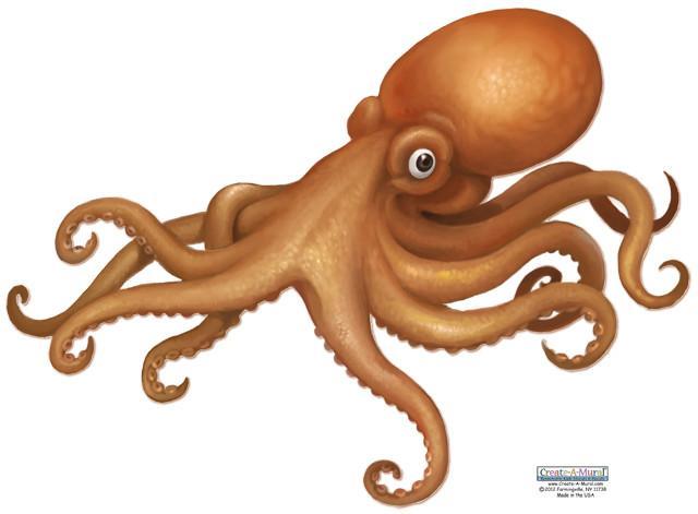 Octopus Mural Wall Decal Sticker - Removable Waterproof Vinyl Art for Kids Room, Nursery, Classroom & Home Decor