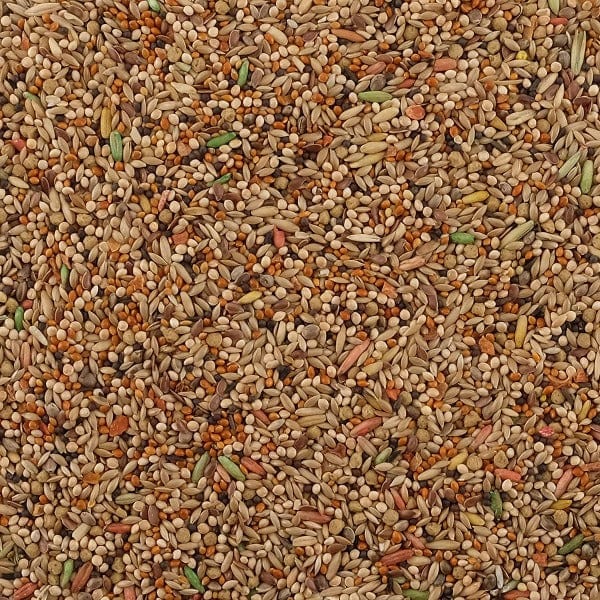 Premium Budgie Food Mix - Living World High-Quality Seed Blend for Parakeets - Ideal for Daily Feeding & Nutritional Support for Pet Birds