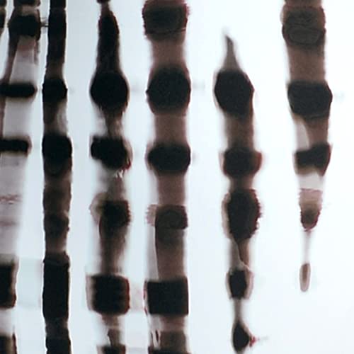 Java//Twisted Bamboo