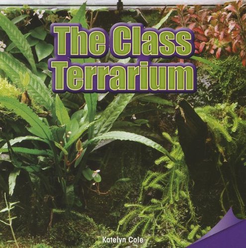 The Class Terrarium - Educational Science Kit for Kids | STEM Learning & Classroom Activities | Perfect for School Projects & Home Experiments