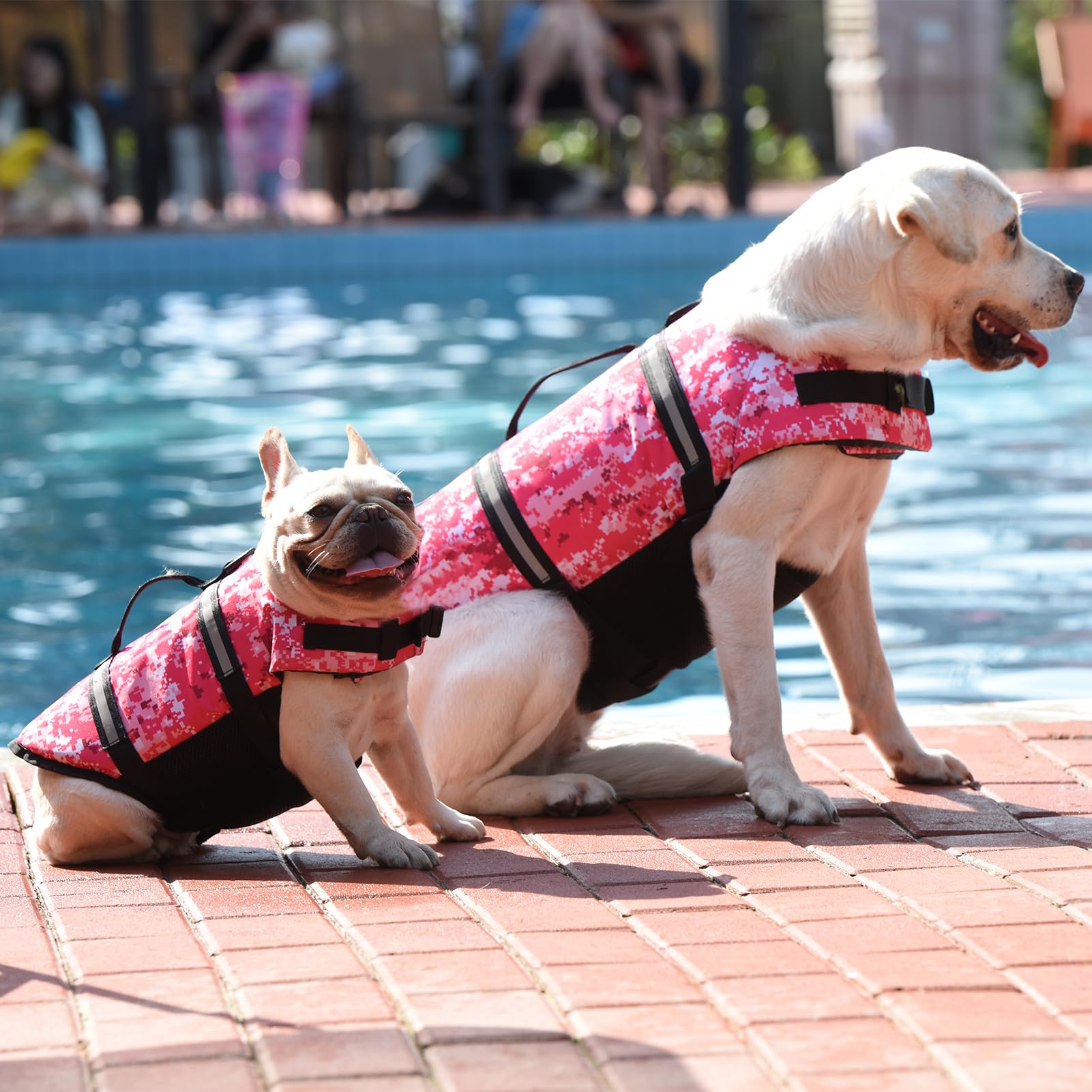 Doglay Dog Life Jacket - Adjustable Buoyancy Vest for Swimming & Boating with Reflective Stripes - Small/Medium/Large Dog Life Vest for Safety & Water Activities - Perfect for Beach, Pool & Boat Adventures
