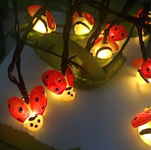 16FT 20LED