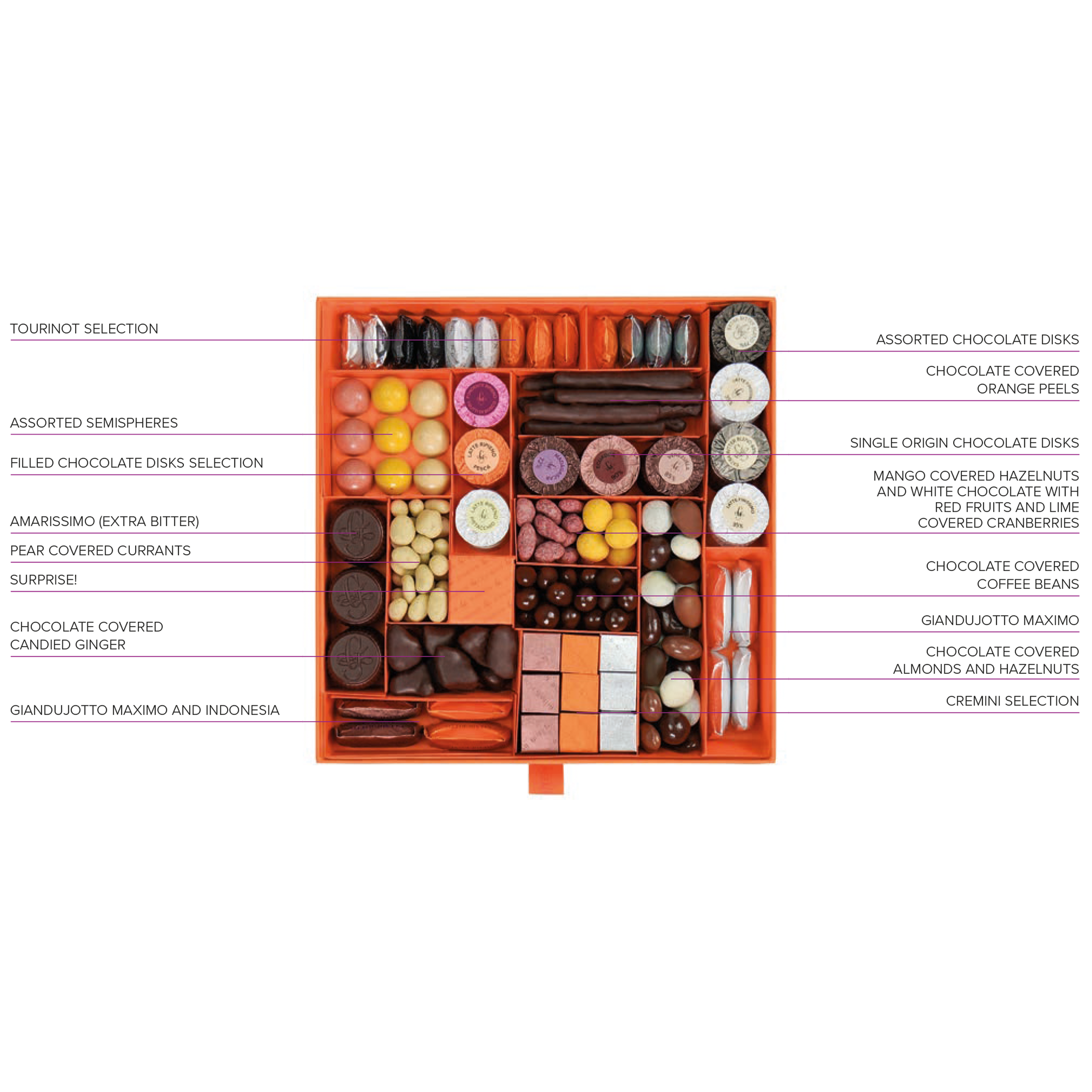 Premium Guido Gobino Assorted Pralines Gift Box - 24pc Luxury Chocolate Collection for Holidays, Birthdays & Corporate Gifting