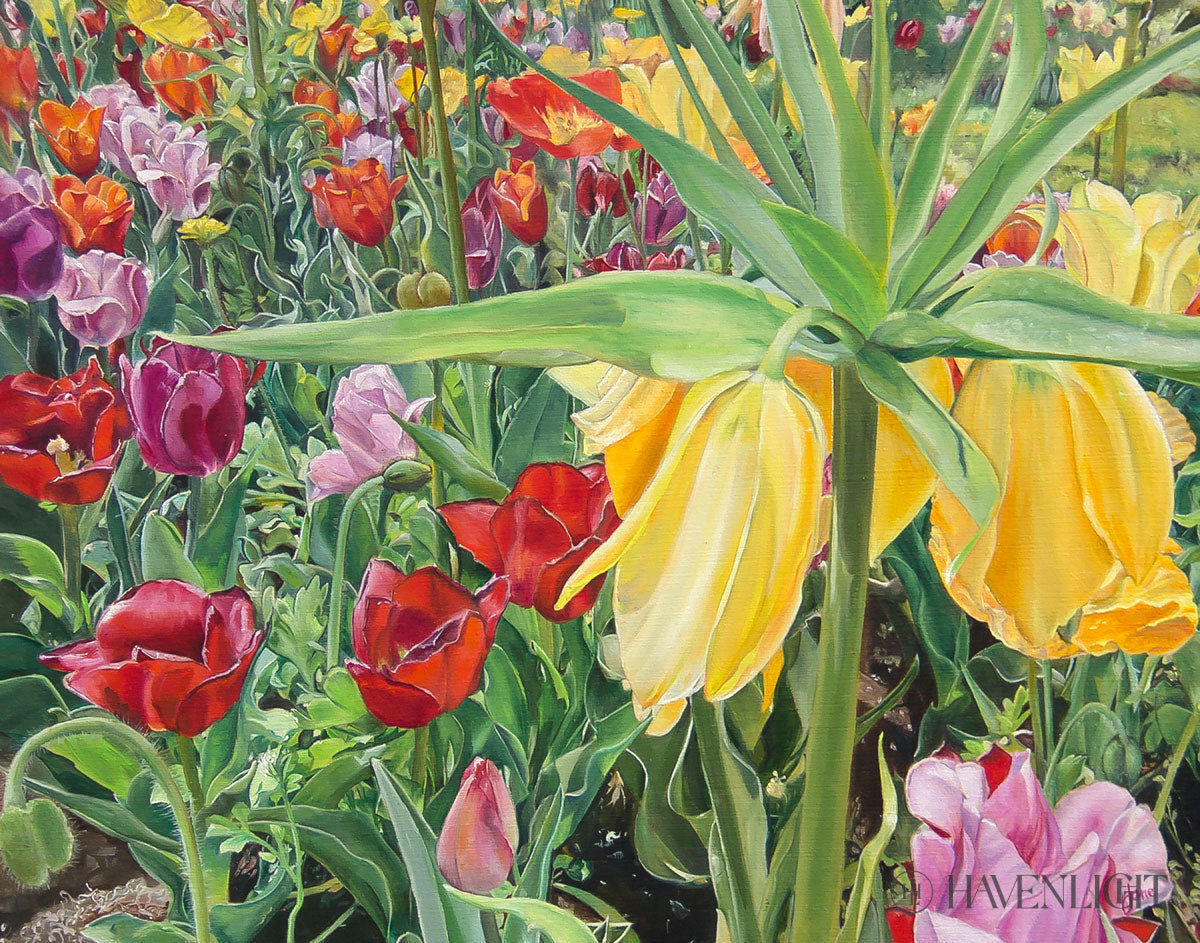 Carousel Tulips By Nila Jane Autry - Beautiful Artificial Silk Tulip Flowers for Home Decor, Wedding Centerpieces, and Spring Table Arrangements