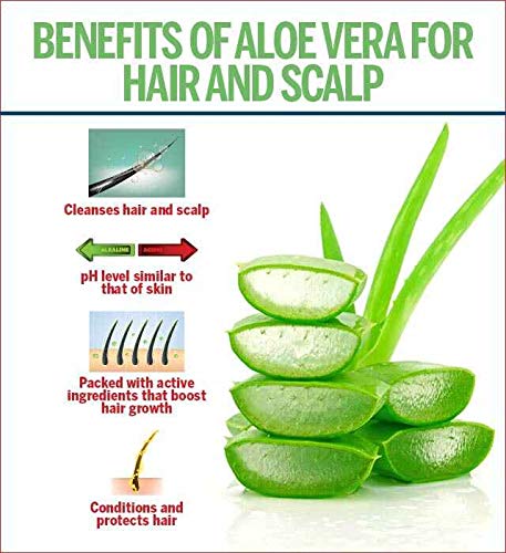 100% Pure & Natural Aloe Vera Gel for Skin & Hair Care - 500g Rose Scented - Hydrating, Soothing & Healing Gel for Sunburn, Acne, Dry Skin & Hair Growth