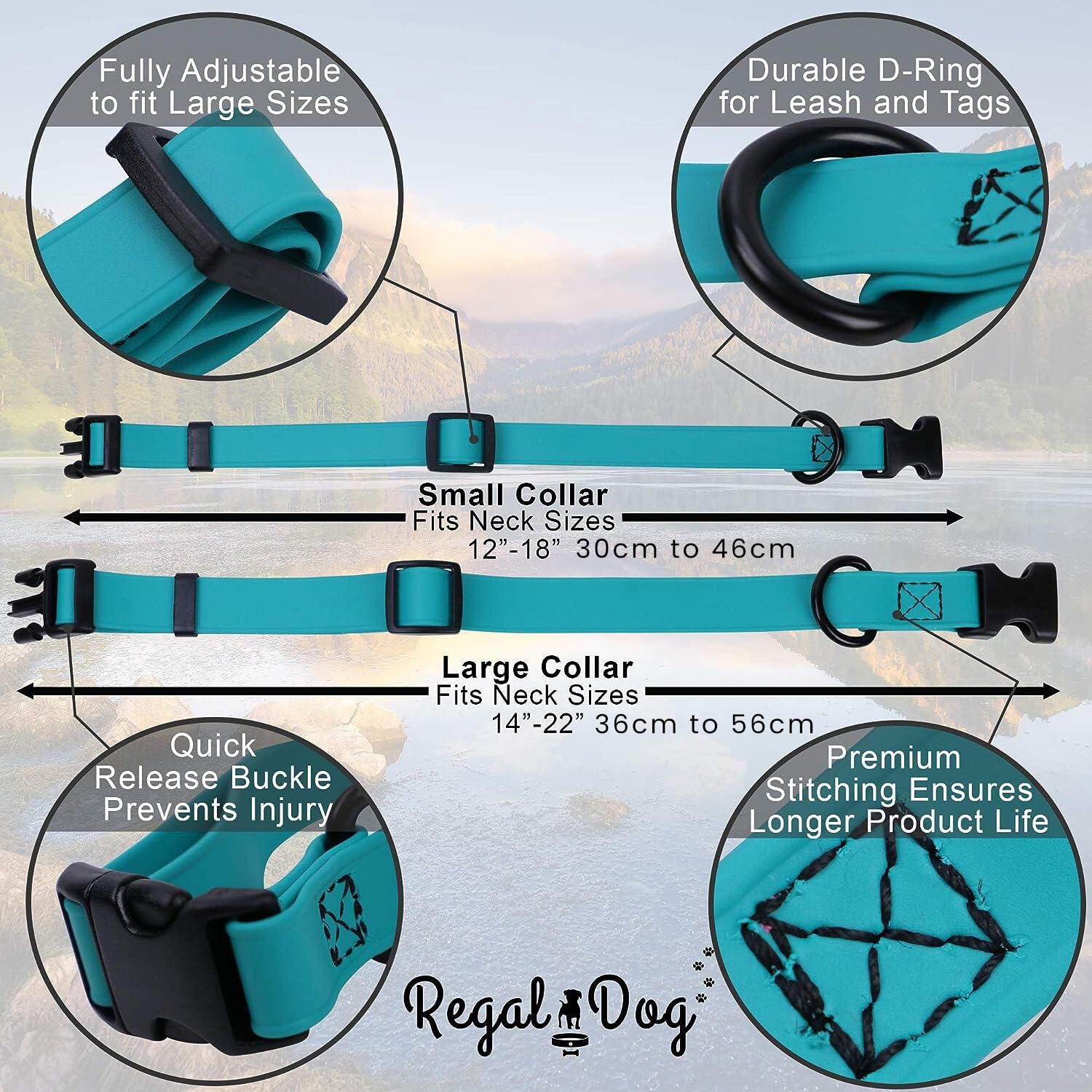 Regal Dog Products Small Teal Waterproof Dog Collar - Adjustable, High Strength Buckle & Heavy Duty Ring - Training Collar for Small Dogs & Puppies - Perfect for Outdoor Adventures, Walks & Water Activities