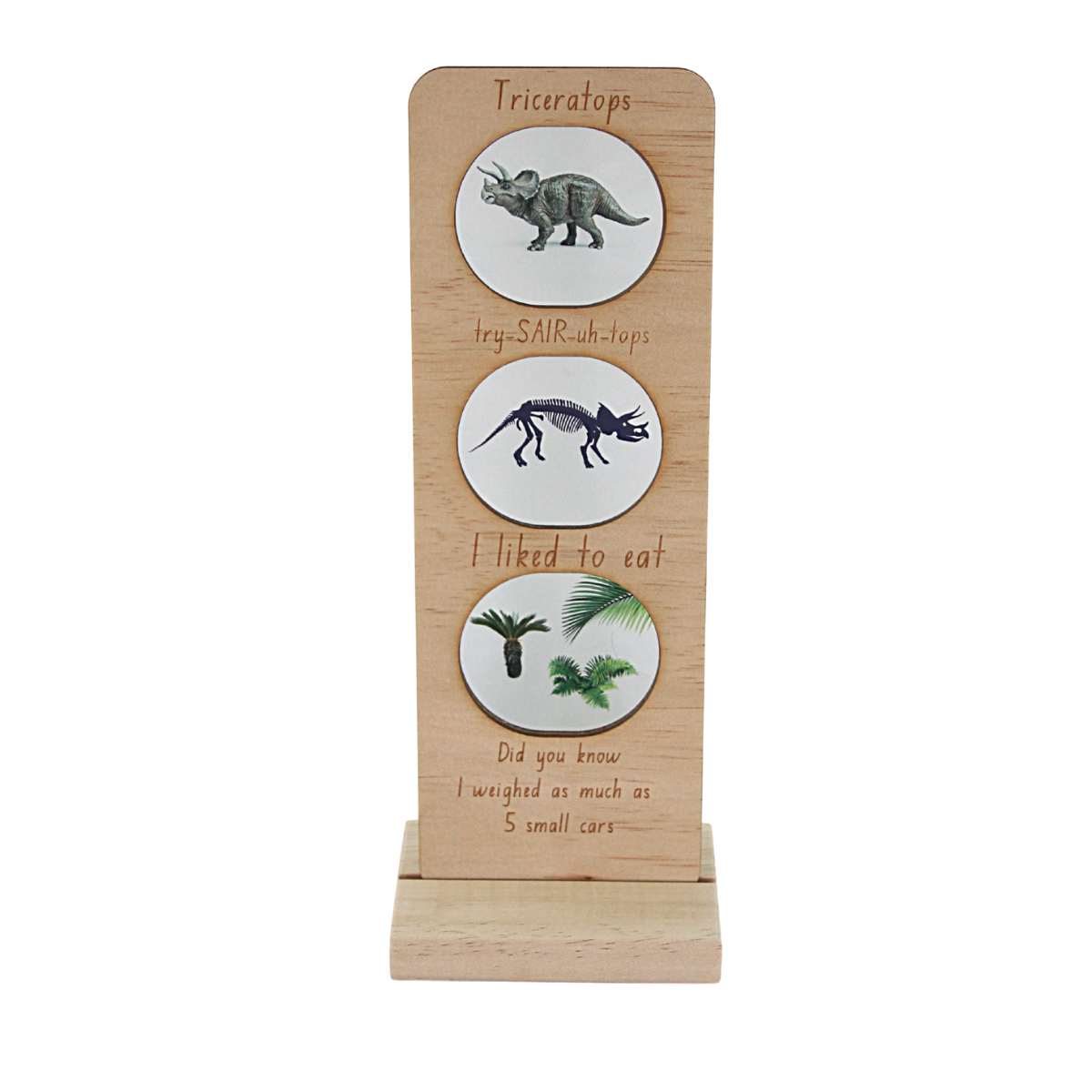 Prehistoric Ecosystem Dinosaur Toys - Jurassic Park Playset for Kids, Realistic Dinosaur Figures & Habitat for Educational Play & Collection | Perfect for Birthday Gifts, Classroom Learning & Dinosaur Theme Parties