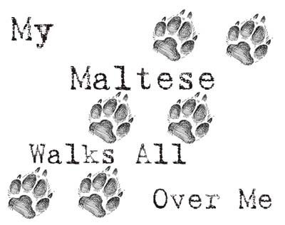 My Maltese Walks All Over Me Funny Dog Lover T-Shirt - Cute Pet Owner Apparel for Women & Men - Perfect for Dog Parks, Walks, and Maltese Lovers