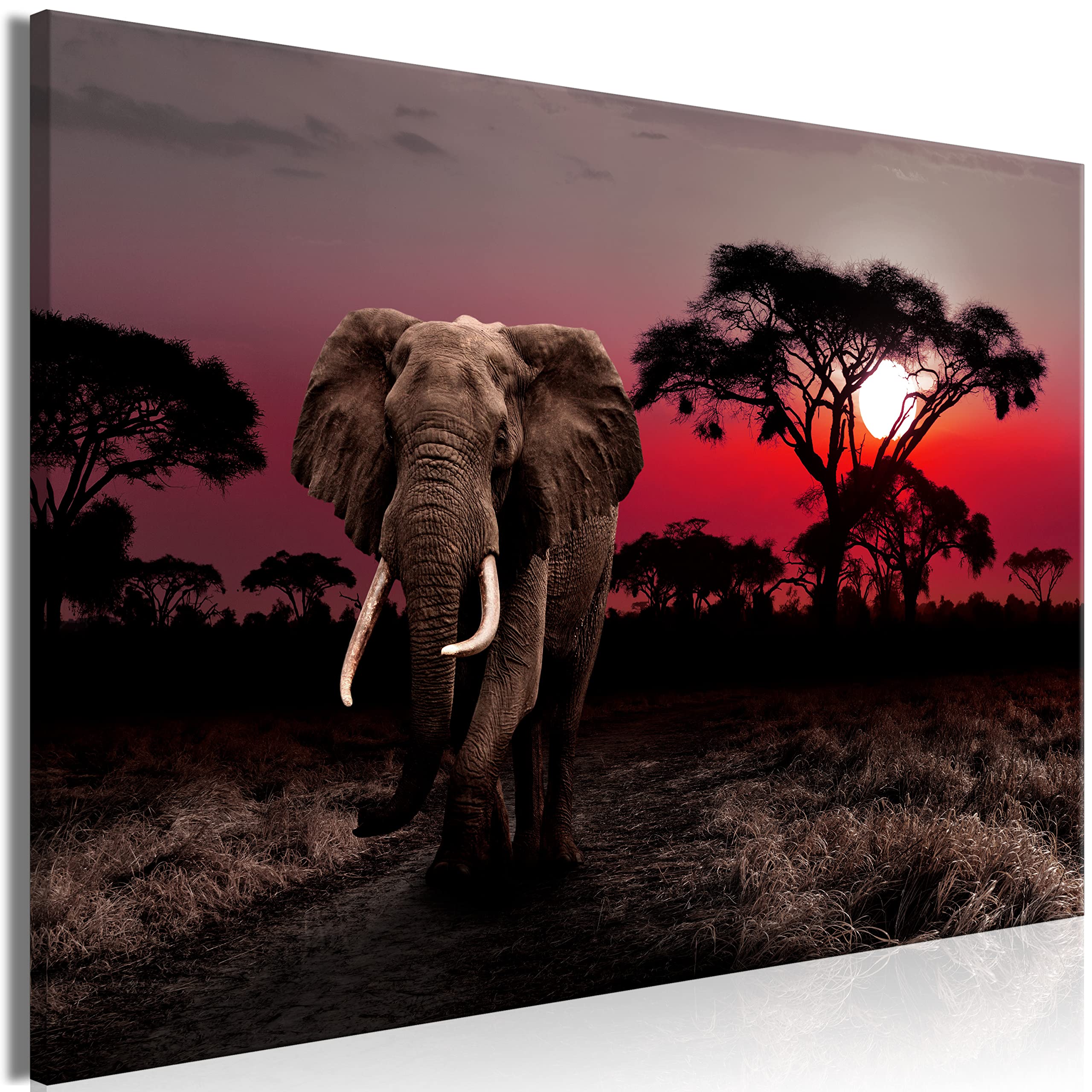 Artgeist Acoustic Canvas Wall Art Print - Elephant Design 35x24 inch Soundproof Picture with Acoustic Foam for Home & Office Decor | African Desert Animal Artwork for Bedroom, Living Room & Studio Soundproofing