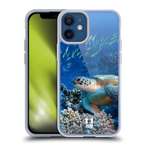 Sea Turtle Sitting On Coral Reef