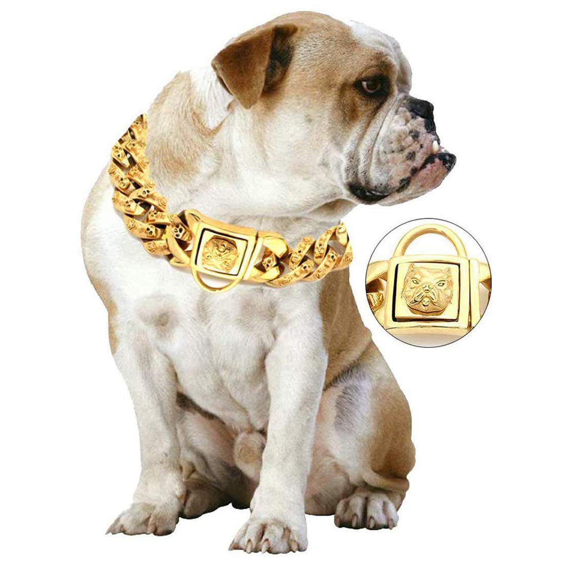 32MM Wide Golden Dog Collar - 316L Stainless Steel Heavy Duty Training Collar with Secure Lock for Large & Medium Dogs (40cm) - Perfect for Outdoor Adventures, Walks & Obedience Training