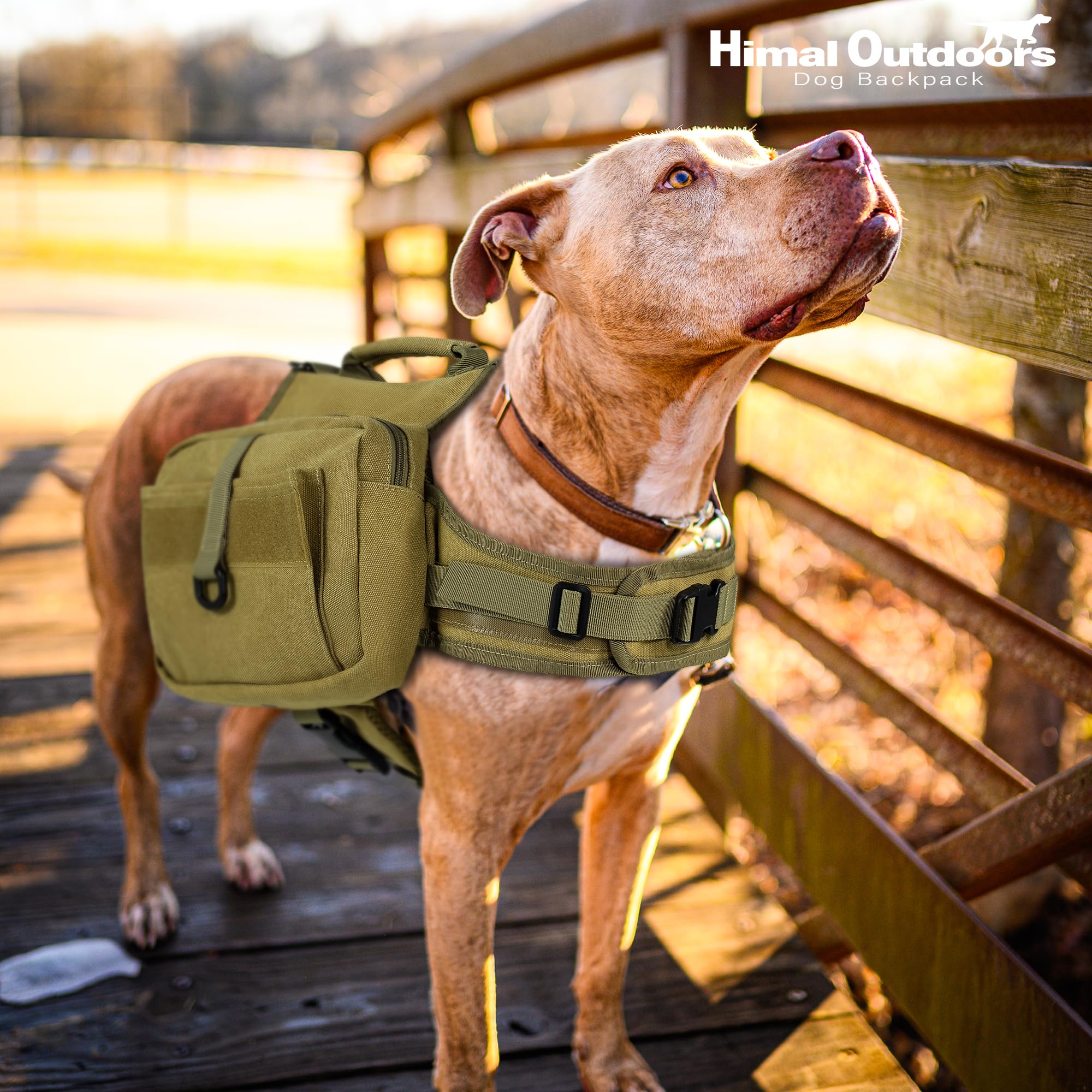 Himal Outdoors Dog Backpack for Large Dogs - Adjustable Hiking Saddle Bag with Side Pockets | Perfect for Outdoor Adventures, Camping & Daily Walks
