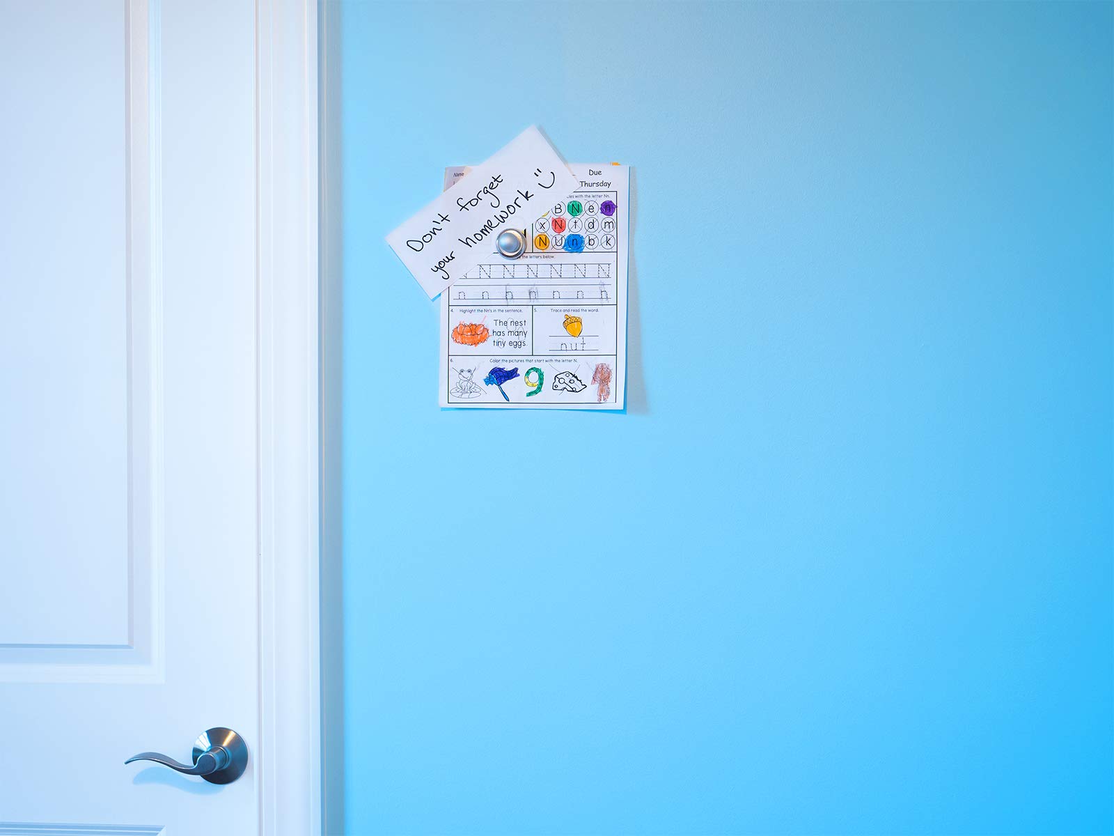 Magna Wizard Drywall Magnetic Wall Panel - Transform Any Wall into a Magnetic Surface for Photos, Notes & Artwork | No Nails, No Screws, No Holes | Perfect for Home Offices, Kids' Rooms & Creative Spaces